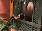 Restaurant <a href="/lemma/Kashba" title="Kashba">Kashba</a>, mei <span class="redlink">2023</span>