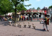 De <a href="/lemma/Ganzenfanfare" class="mw-redirect" title="Ganzenfanfare">Ganzenfanfare</a>.