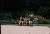 Bankje in de <a href="/lemma/Siertuin" title="Siertuin">Siertuin</a>, begin jaren zestig