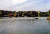 <a href="/lemma/Roeivijver" title="Roeivijver">Roeivijver</a> op de <a href="/lemma/Vonderplas" title="Vonderplas">Vonderplas</a> in september <span class="redlink">1987</span>
