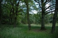 Terrein van voormalig bungalowpark <a href="/lemma/Het_Kraanven" title="Het Kraanven">Het Kraanven</a>, zomer 2009