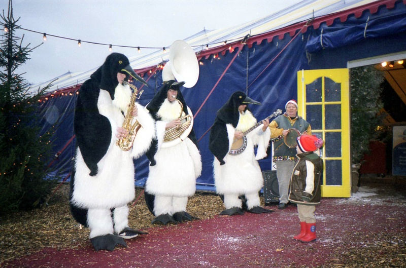 Bestand:Pinguinorkest1999.jpg
