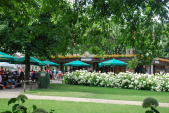 Terras van de <a href="/lemma/Steenbok" class="mw-redirect" title="Steenbok">Steenbok</a> en het <a href="/lemma/Steenbokplein" class="mw-redirect" title="Steenbokplein">Steenbokplein</a> in juli <span class="redlink">2009</span>