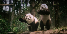 Panda&#039;s in de Fabula-film - Screenshot uit de film
