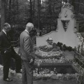 Gemeentearchief Waalwijk (digitaal geraadpleegd), fotograaf J. de Bont, archiefnummer 86811