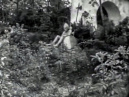 De schildwacht van <a href="/lemma/Doornroosje" title="Doornroosje">Doornroosje</a>, in <a href="/lemma/1955" title="1955">1955</a> nog tegen het poortje gezeten.