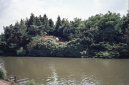 Groene oevers bij de Siervijver in vroeger jaren - Foto: via Roel van den Berk, gebruikt met toestemming.