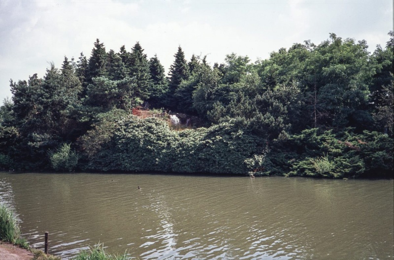 Bestand:Groen siervijver vroeger.jpg