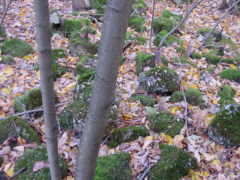 Bestand:Brokstukken theehuis oktober 2002-2.JPG