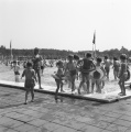 Collectie Heidemij augustus 1961