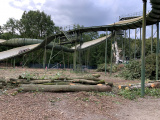 Sluiting van de Bob - Extra zicht op de baan door kap eiken (eind augustus 2019) - Foto: Eftepedia