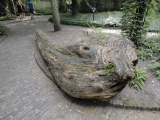 Eigen foto 2012