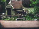  in <a href="/lemma/1981" title="1981">1981</a>