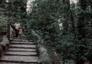 Uitgangstrap van <a href="/lemma/Doornroosje" title="Doornroosje">Doornroosje</a> in de oorspronkelijke versie van het kasteel in <a href="/lemma/1973" title="1973">1973</a>