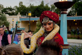 Een slang aaien op het <a href="/lemma/Fata_Morganaplein" title="Fata Morganaplein">Fata Morganaplein</a>