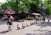 De <a href="/lemma/Ganzenfanfare" class="mw-redirect" title="Ganzenfanfare">Ganzenfanfare</a>.