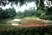 Gondoletta in 1981, de bocht bij de <a href="/lemma/Zwembadlaan" title="Zwembadlaan">Zwembadlaan</a>.