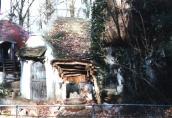 Winter 1998