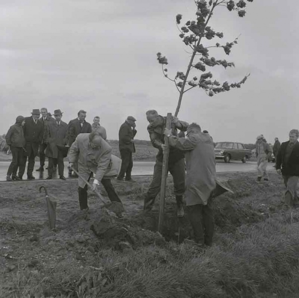 Bestand:Eftelingweg-1967.jpg