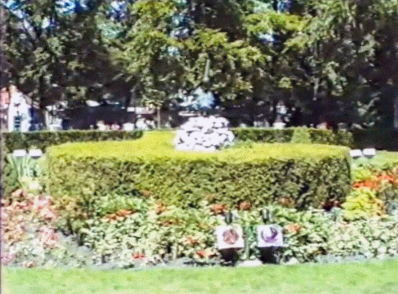 Bestand:Pelikaanfonteinjuni1988.jpg