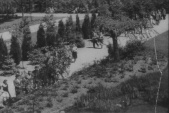Siertuin in 1955.