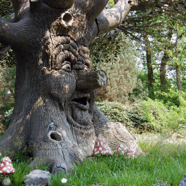 Close-up van de boom
