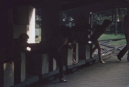 <a href="/lemma/Kinderspoor" title="Kinderspoor">Kinderspoor</a> in <a href="/lemma/1973" title="1973">1973</a>