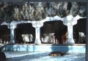 Winter 1998