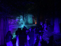 <a href="/lemma/Spooknacht" title="Spooknacht">Spooknacht</a> 3 op 4 september <span class="redlink">2022</span>