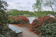 Zandpaadje langs de <a href="/lemma/Vonderplas" title="Vonderplas">Vonderplas</a> met bankje met uitzicht, april <a href="/lemma/2010" title="2010">2010</a>