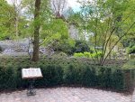 <a href="/lemma/Doornroosje" title="Doornroosje">Doornroosje</a>, na de grote renovatie, voorjaar <span class="redlink">2024</span>.