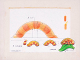 Ontwerp regenwormglijbaan voor <a href="/lemma/Kleuterhof_(1994)" title="Kleuterhof (1994)">Kleuterhof (1994)</a> door <a href="/lemma/Henny_Knoet" title="Henny Knoet">Henny Knoet</a>