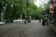 &#039;Witte Paardplein&#039;, 2008. Eigen foto.