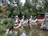 Drie zwanenbootjes De Zes Zwanen aan de kade in september 2019 - Foto: Eftepedia