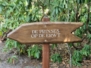 Sprookjesbos-wegwijzer naar <a href="/lemma/De_Prinses_op_de_Erwt" title="De Prinses op de Erwt">De Prinses op de Erwt</a>.
