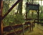 Bron: &#039;Rendez-vous romantique met Wilma Driessen&#039; (1972) Ciribiribin https://www.youtube.com/watch?v=g9fZ32i-fP0