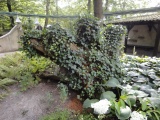 Eigen foto 2012