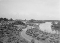 De <a href="/lemma/Siervijver" title="Siervijver">Siervijver</a>, juni <a href="/lemma/1958" title="1958">1958</a>.