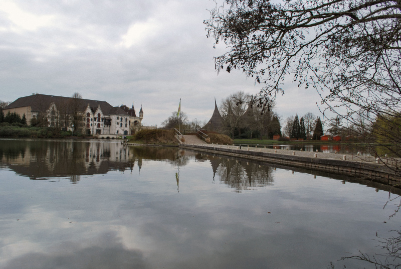 Bestand:Vonderplas-legevlonder-maart2011.jpg