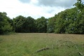 Terrein van voormalig bungalowpark <a href="/lemma/Het_Kraanven" title="Het Kraanven">Het Kraanven</a>, zomer 2009