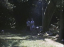 Picknicken bij de hoekpilaar van de <a href="/lemma/Rolschaatsbaan" title="Rolschaatsbaan">Rolschaatsbaan</a>, begin jaren zestig