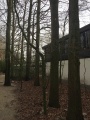 Eikenbomen achter het station van de <a href="/lemma/Bob" title="Bob">Bob</a> gezien vanuit de wachtrij.