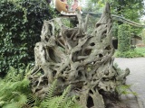 Eigen foto 2012
