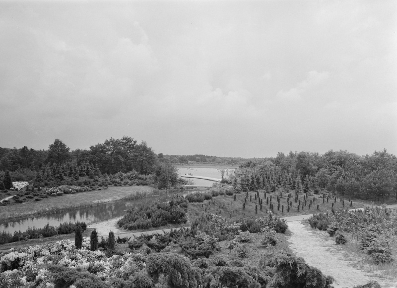 Bestand:Siervijver1958NA-1.jpg