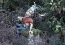 <a href="/lemma/Kleine_Boodschap" title="Kleine Boodschap">Kleine Boodschap</a> in <a href="/lemma/1962" title="1962">1962</a>