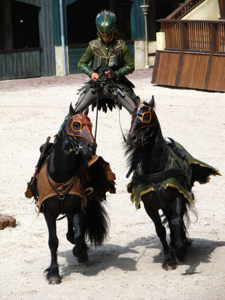 Bestand:Raveleijn-maurits-2011.jpg