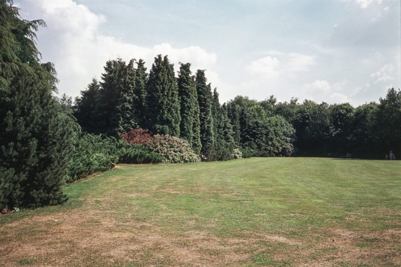 Bestand:Natuurpark grasveld border.jpg