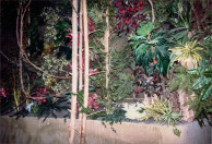 Jungle, 01-1986. Close-up van beplanting tegen de gaasconstructie aan de wanden van de jungle.