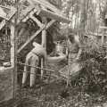 Bouw <a href="/lemma/De_Wolf_en_de_Zeven_Geitjes" title="De Wolf en de Zeven Geitjes">De Wolf en de Zeven Geitjes</a>