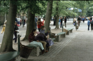 Het <a href="/lemma/Centrumplein" class="mw-redirect" title="Centrumplein">Centrumplein</a> met hoekje van <a href="/lemma/In_den_Ouden_Marskramer" title="In den Ouden Marskramer">In den Ouden Marskramer</a> en de <span class="redlink">Muziekkiosk</span> in 1980